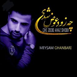 Meysam Ghanbari – Kam Harf